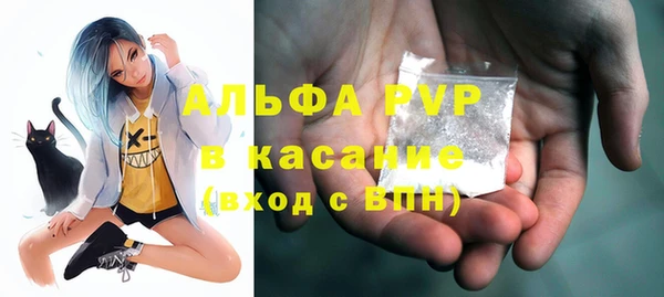 хмурый Дмитриев