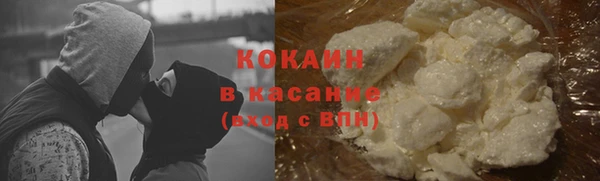 гашик Дмитров