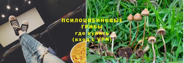 альфа пвп Гусиноозёрск