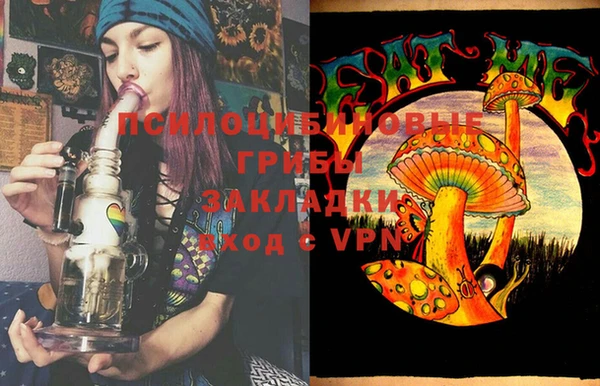 гашик Дмитров