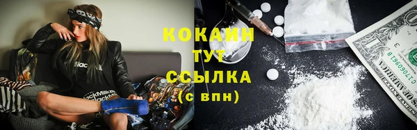ешки Гусев