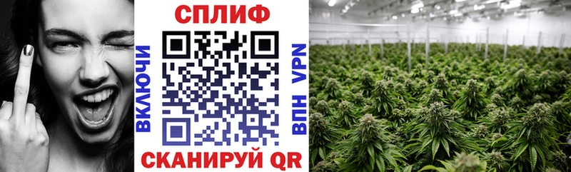 MEGA вход  Дагестанские Огни  Марихуана VHQ 